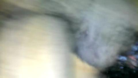 32313