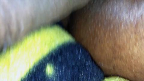 2753
