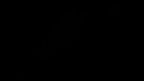 13074